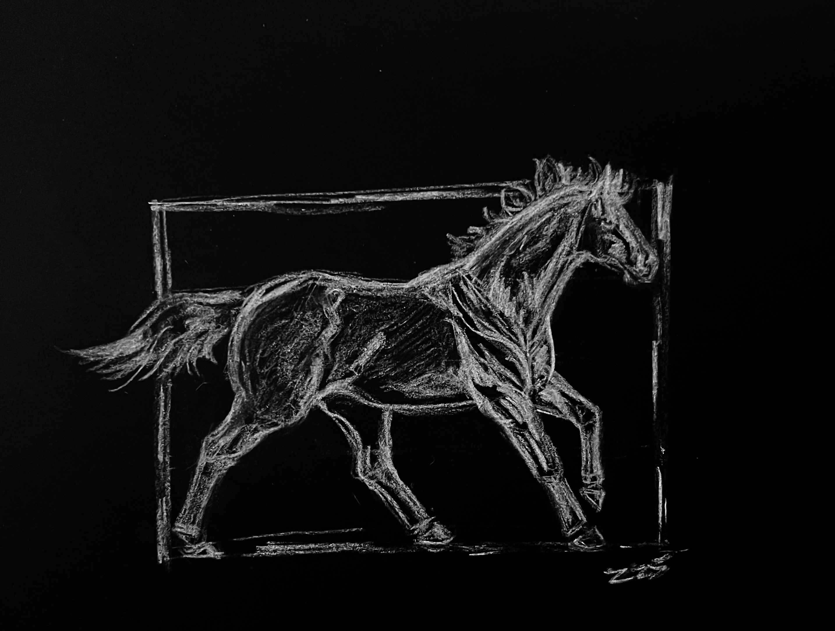 horse drawing by zarathustra