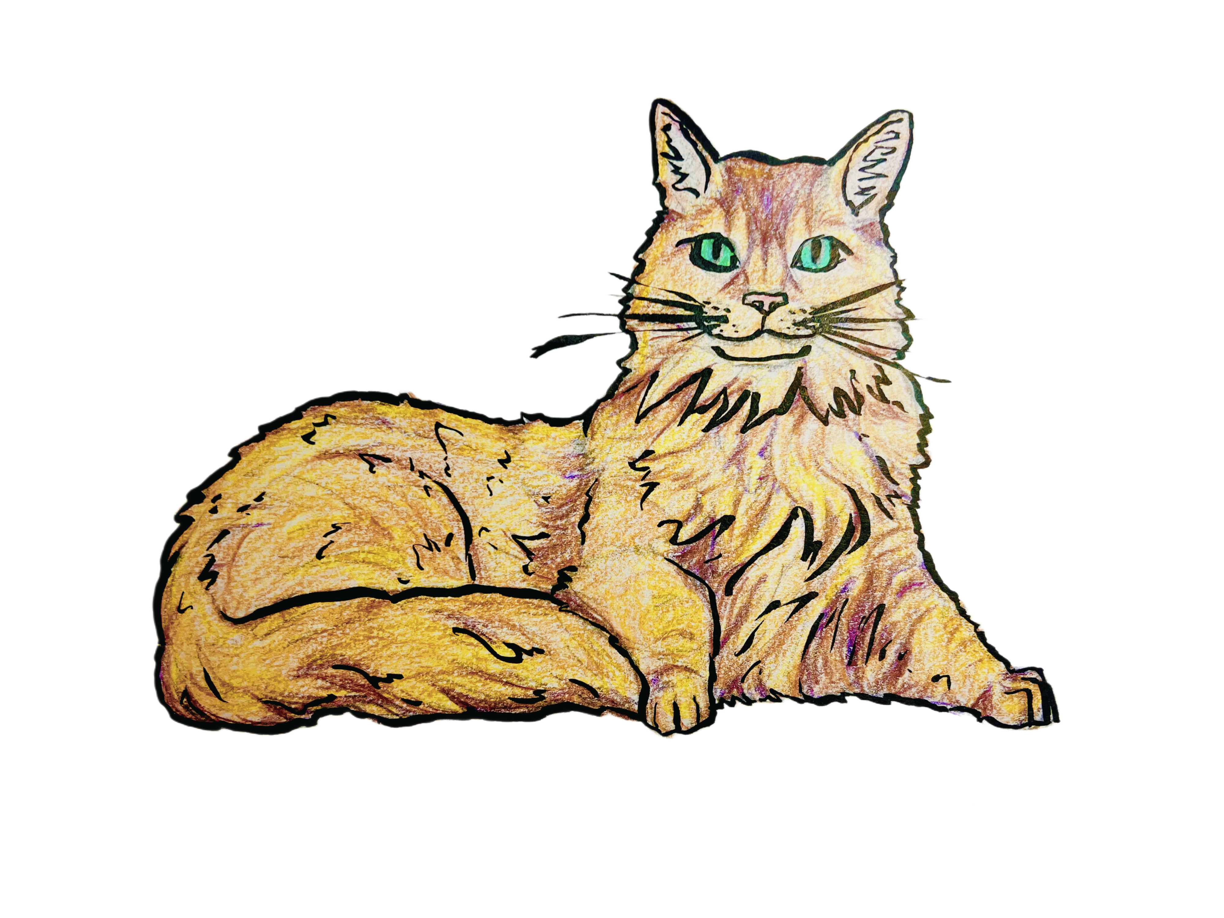 drawing by zarathustra