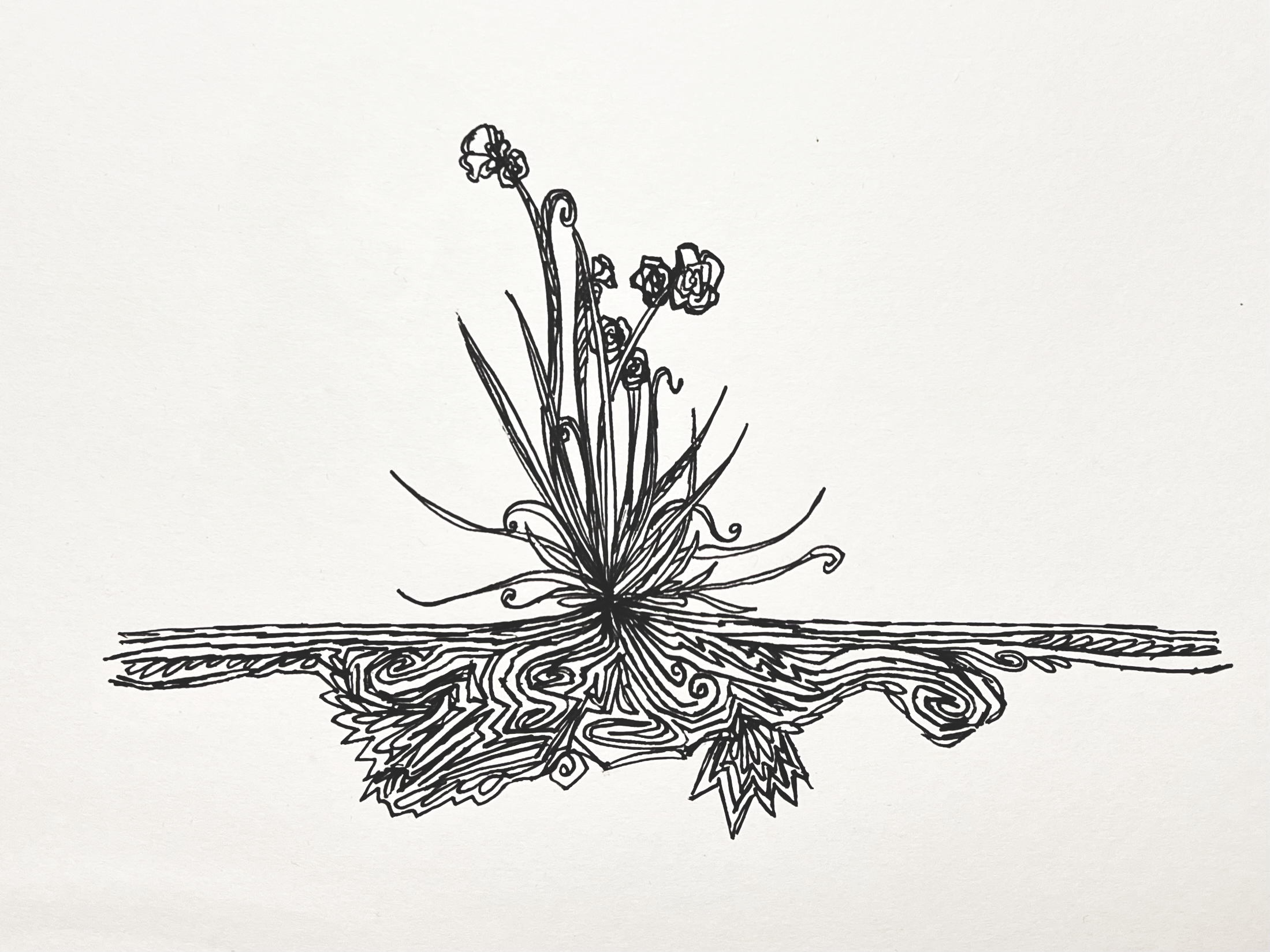 flower drawing by zarathustra