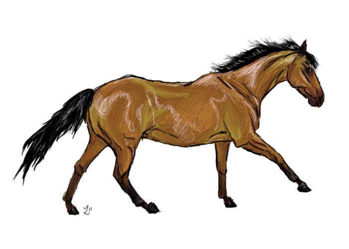 drawing by zarathustra